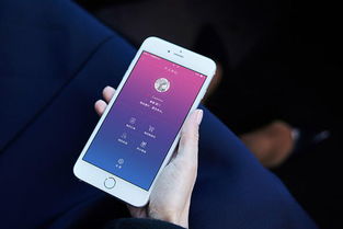 護壹智能還款APP開發 智能化還款與守信管理新利器